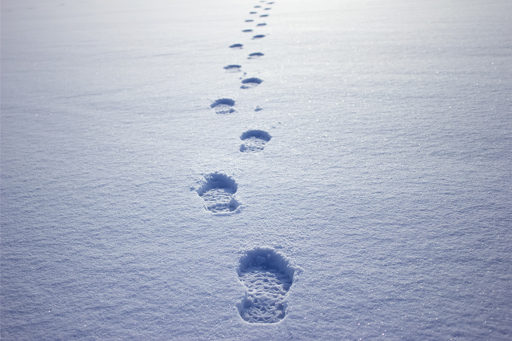 Istock 1298263597