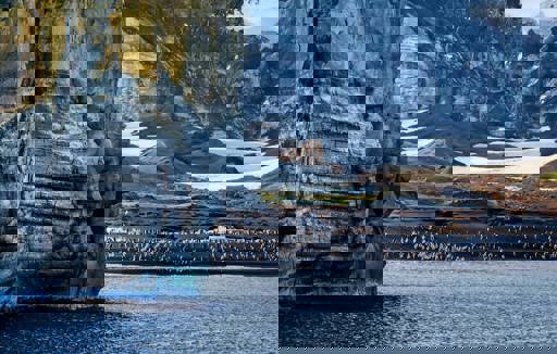 pexels-frans-van-heerden-201846-868990